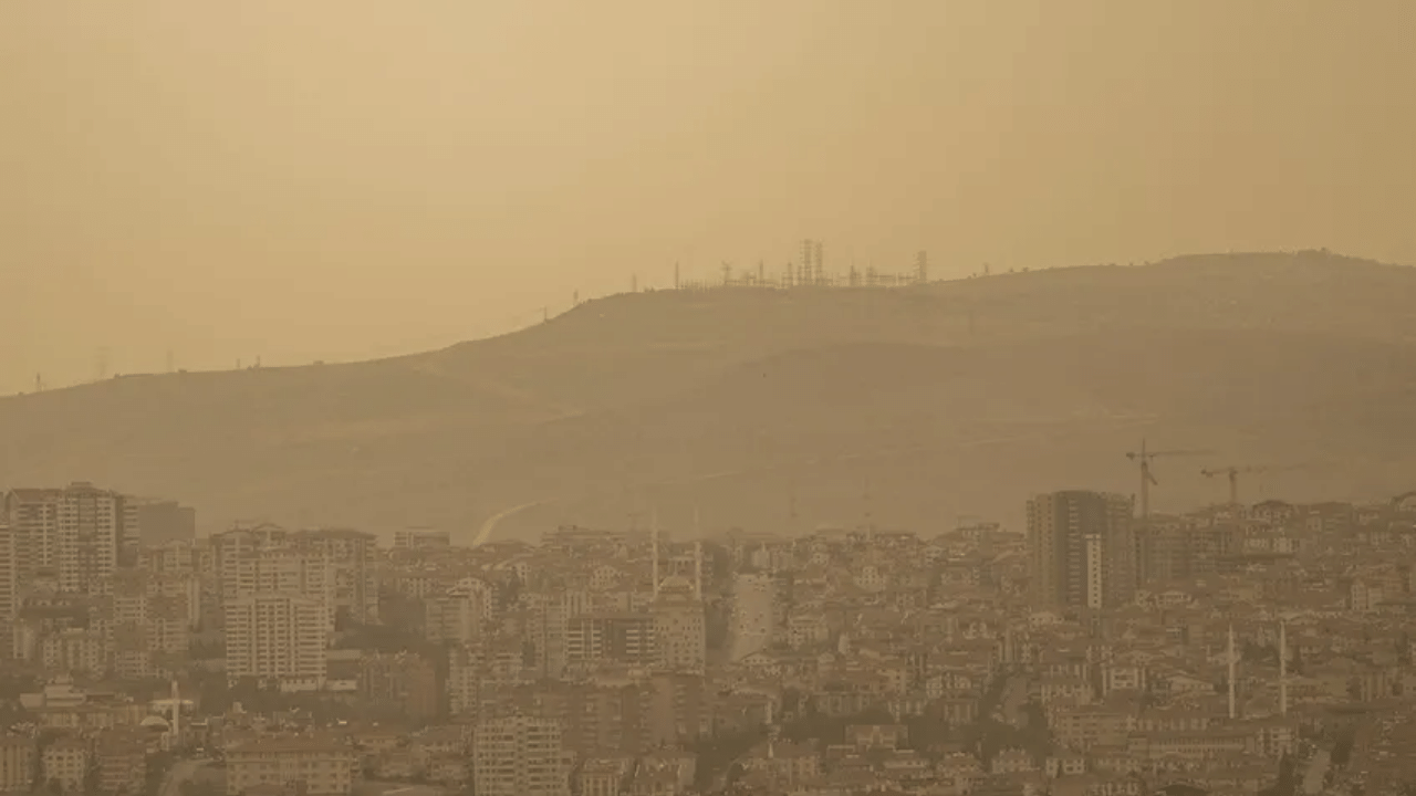 Sdf Çöl Tozu Stok