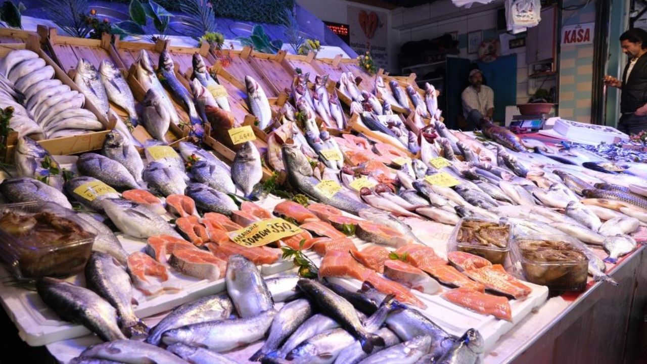 Sdf Eskişehir Balık Stok