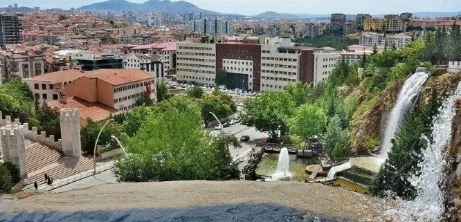 Ankara Keçi