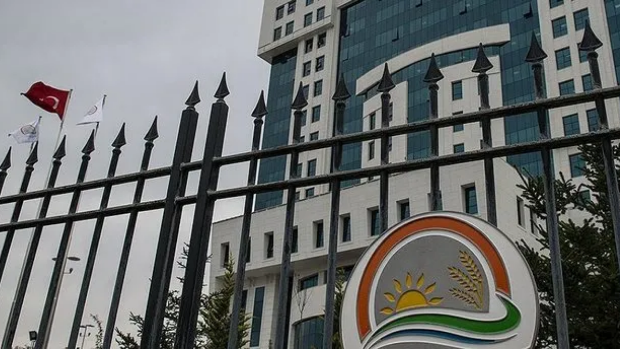 Sdf Tarım Orman Bakanlığı