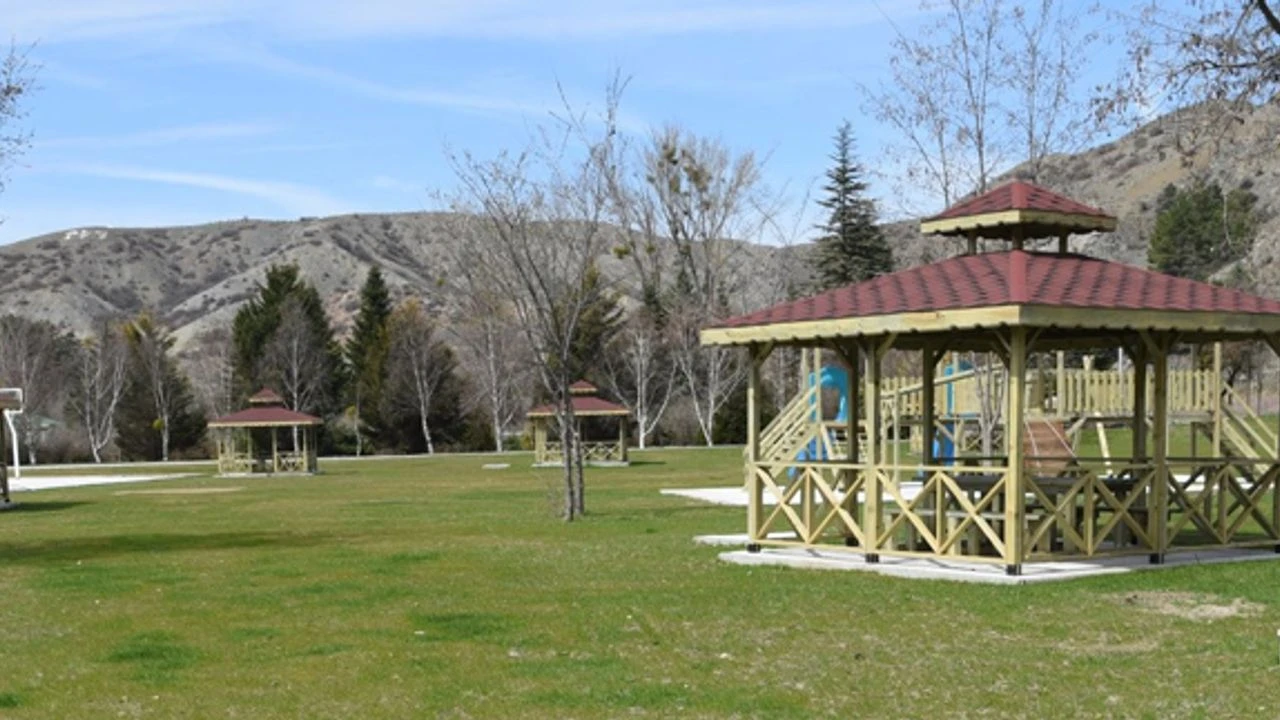 Sdf Orman Fidanlığı