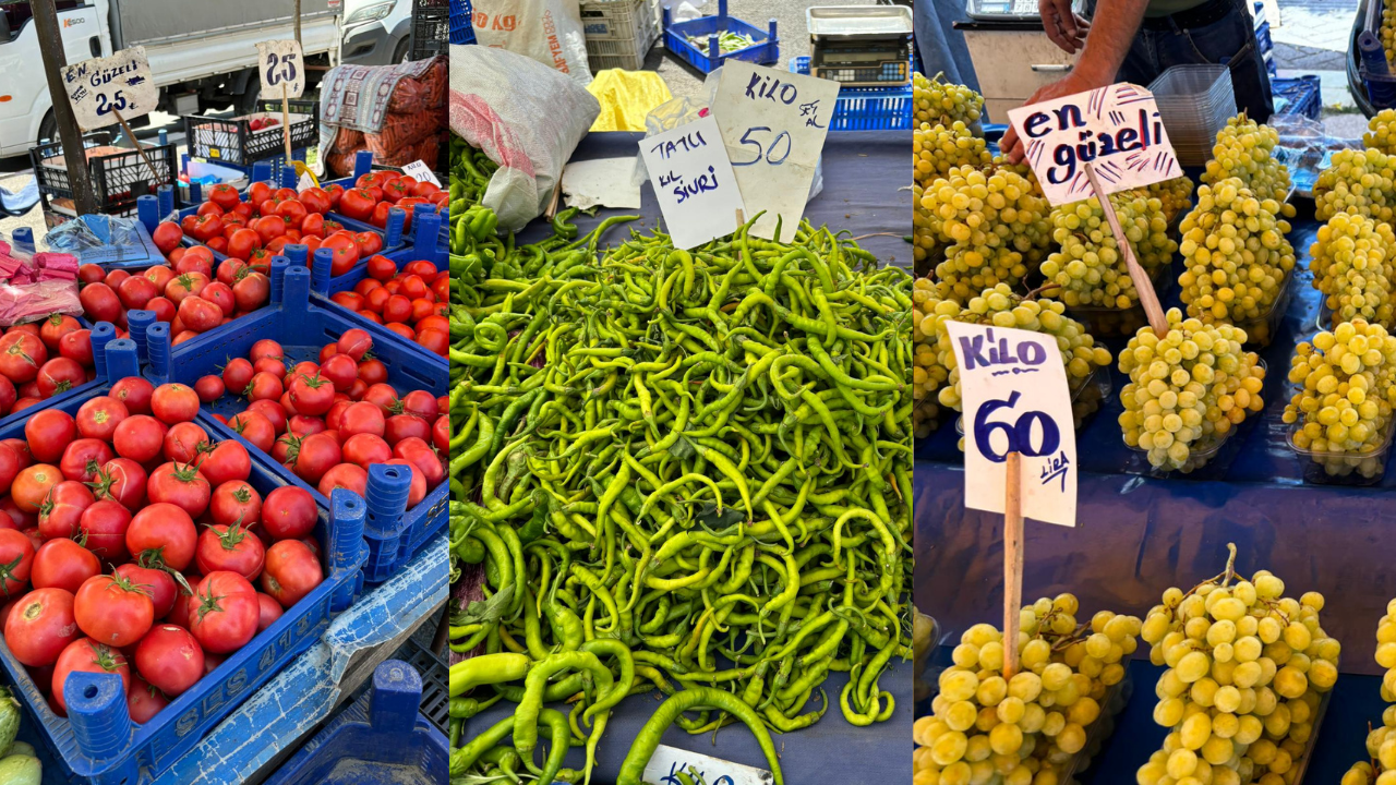 Meyve Sebze Pazar Sem