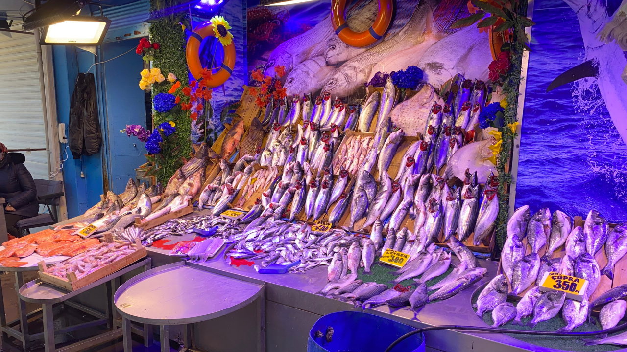 Eskişehirde Balık Fiyatları Cep Yaktı