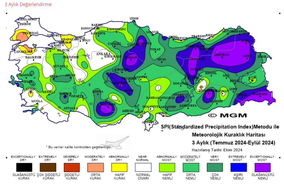 Ekran Görüntüsü 2024 11 09 204713