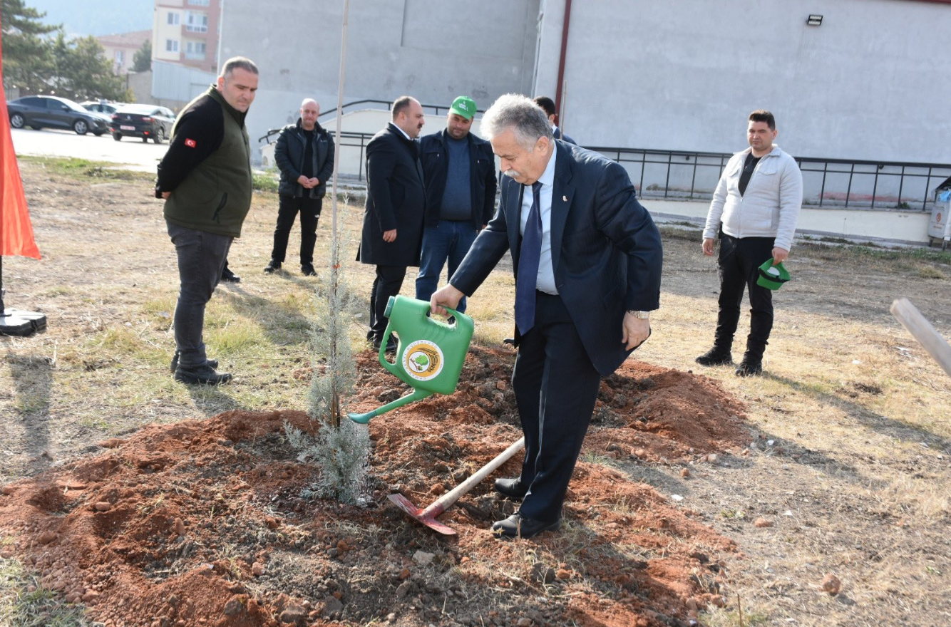 İnönü Dikilen Fidanlarla Yeşillenecek (1)