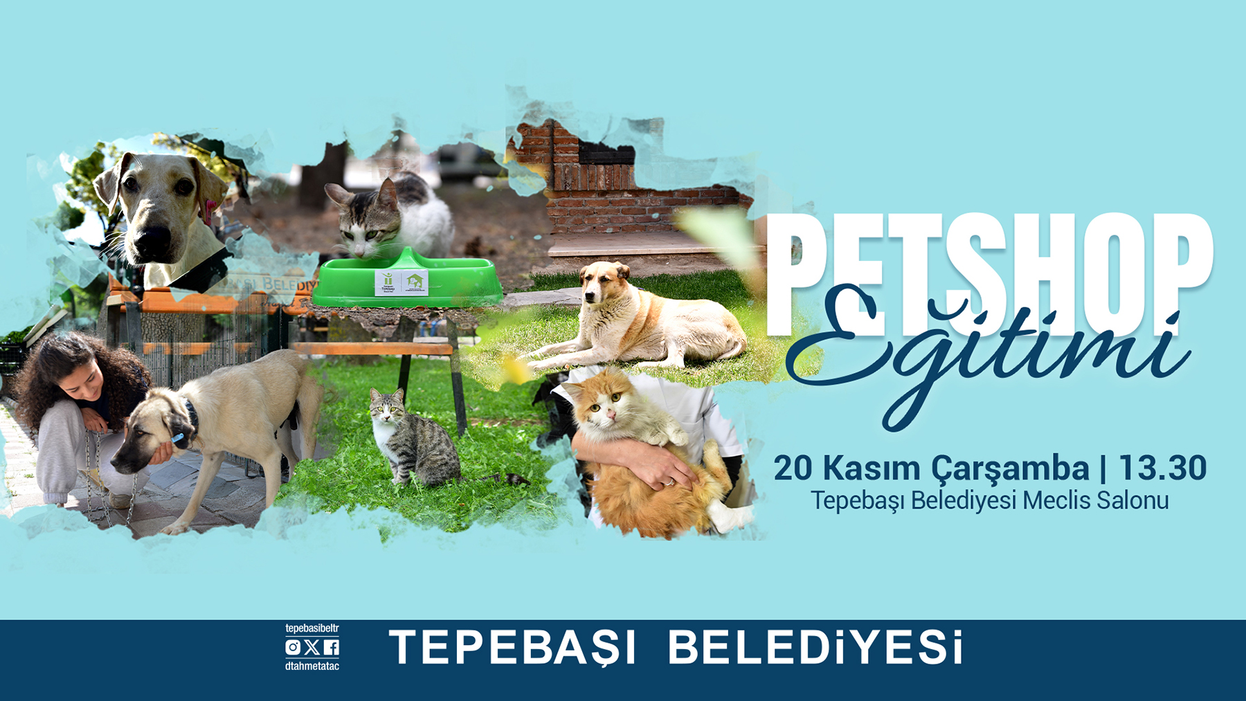 Pet Shop Eği̇ti̇mi̇