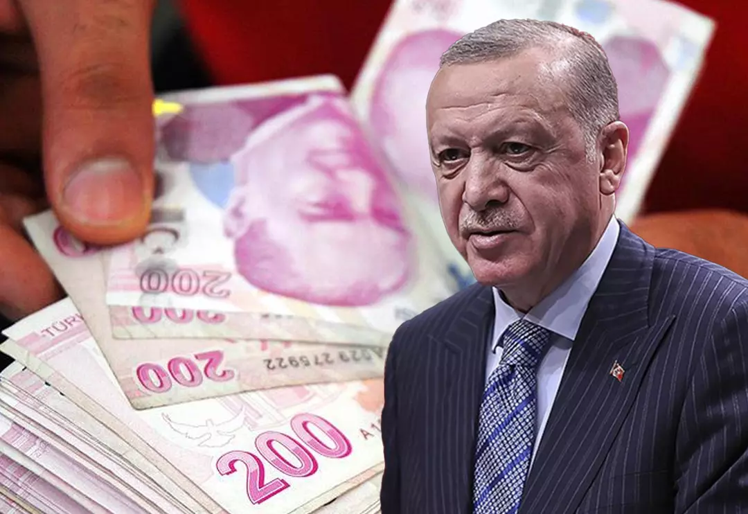Erdoğan Türk Lirası