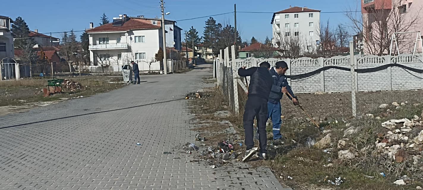 Seyitgazi Belediyesi Çevre Düzenleme Çalışmalarına Devam Ediyor (3)