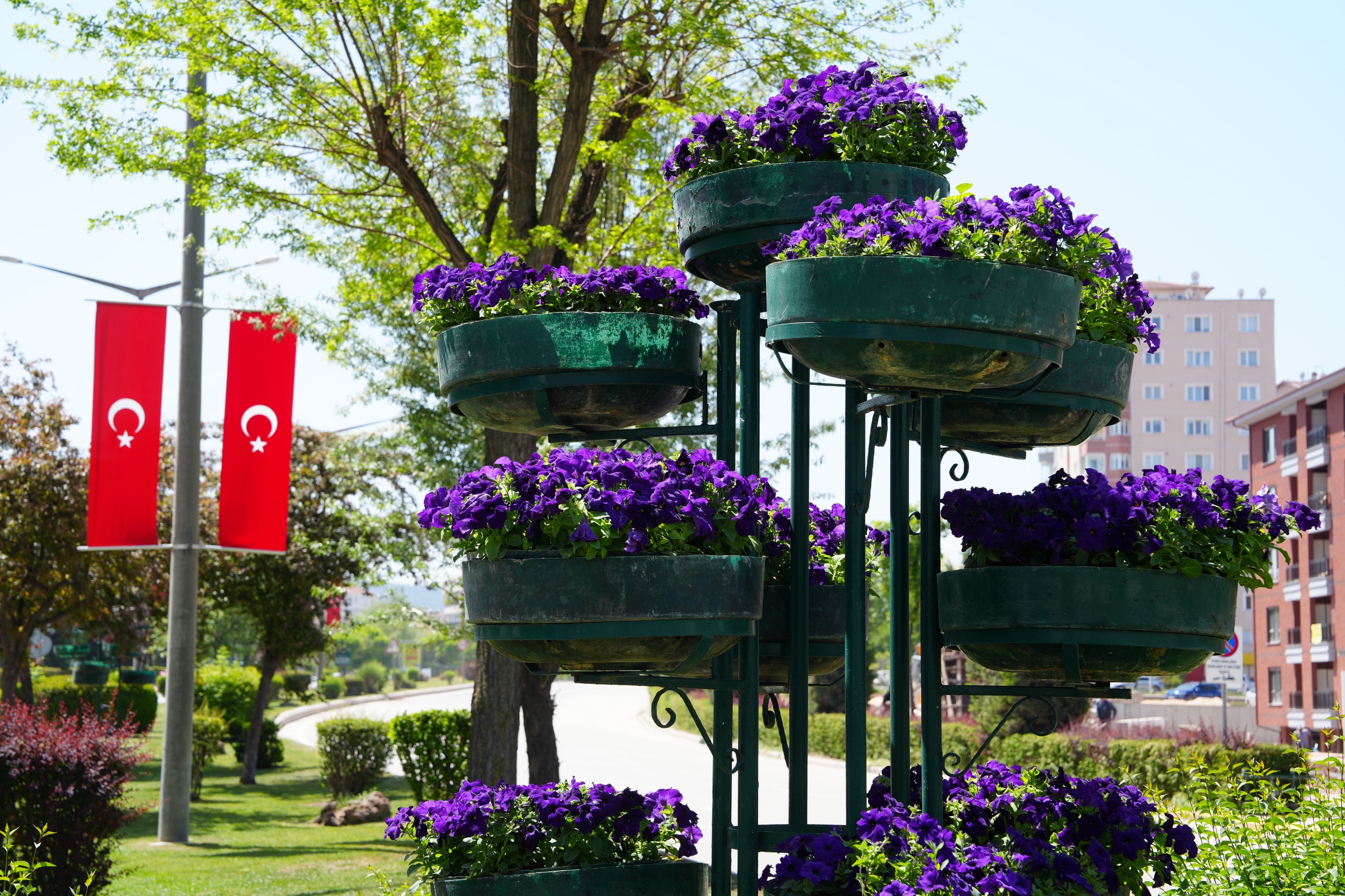 Refüjler Çi̇çeklerle Renklendi̇ (4)