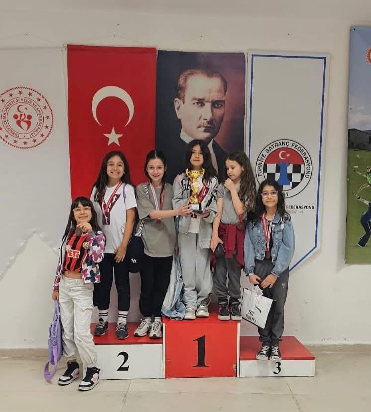 Santranç (2)