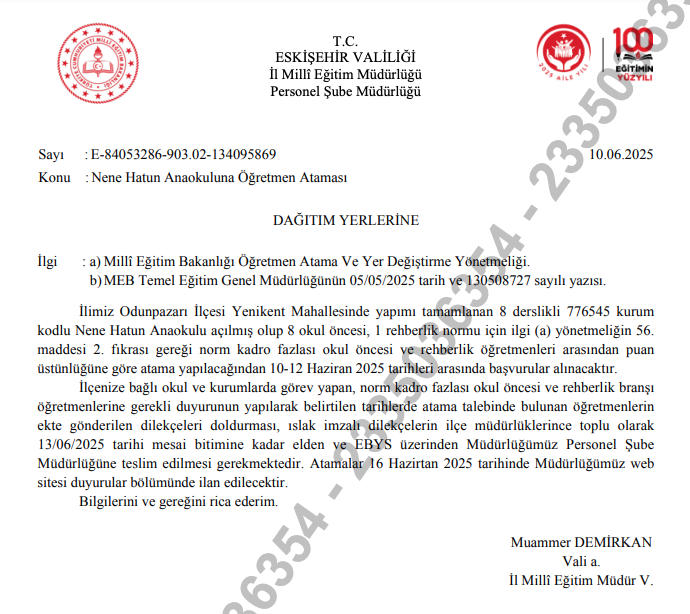 Ekran Resmi 2025 06 11 14.09.01