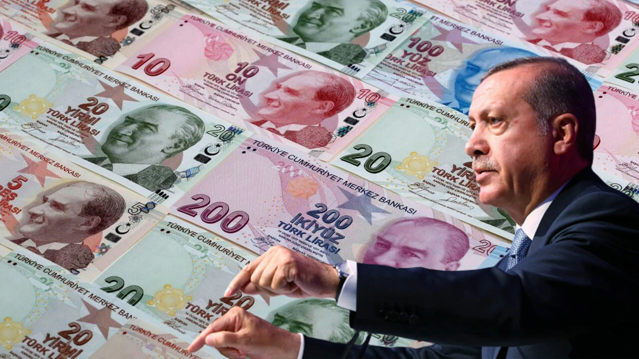 Erdoğan Türk Lirası-1