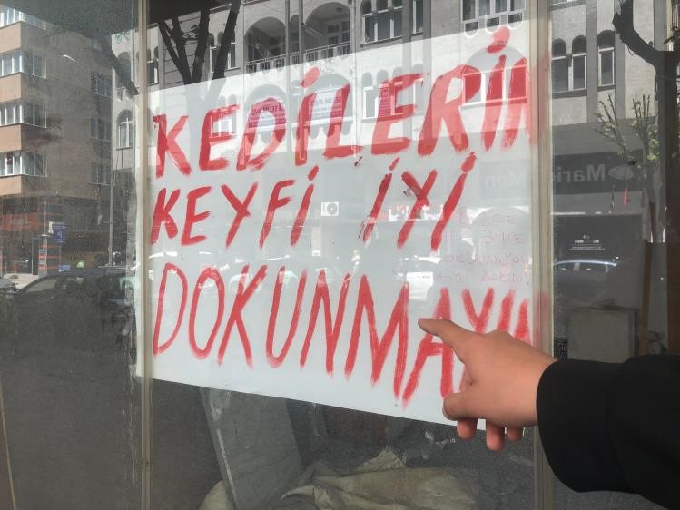 Kedi̇ (1)-1