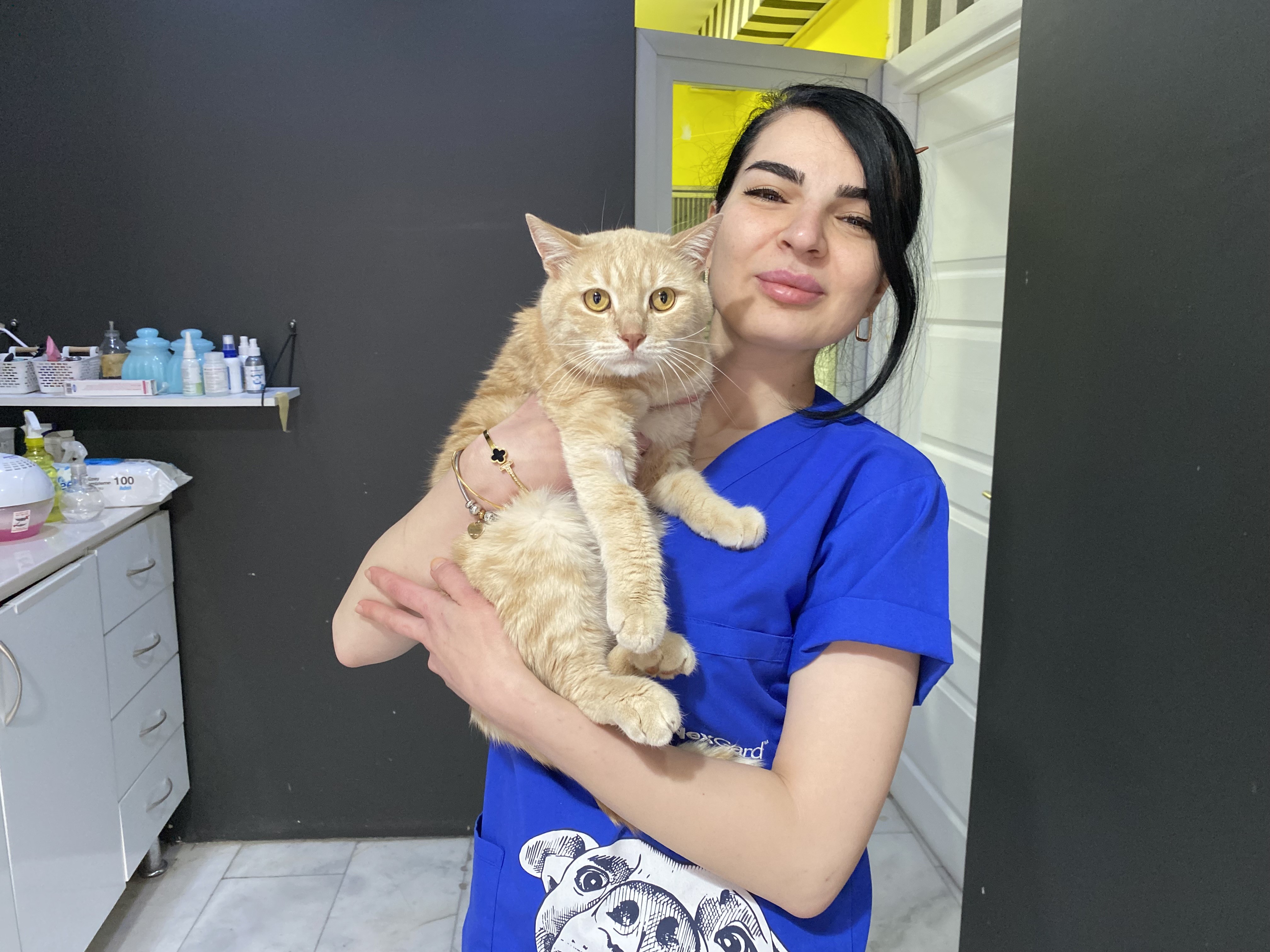 Kedi (2)