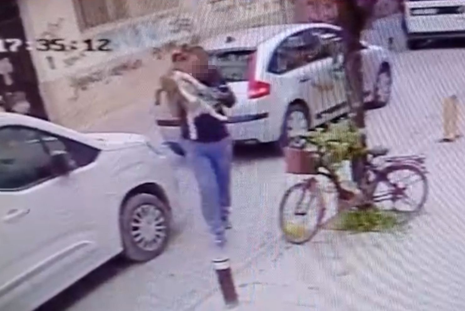 Köpeği, Çişini Yaptırmak (4)