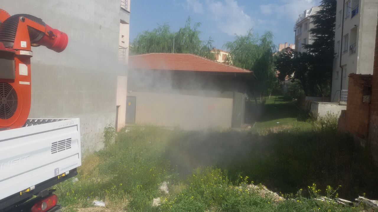 Odunpazarı Belediyesi’nden Kenelere Karşı Etkili Mücadele! (2)