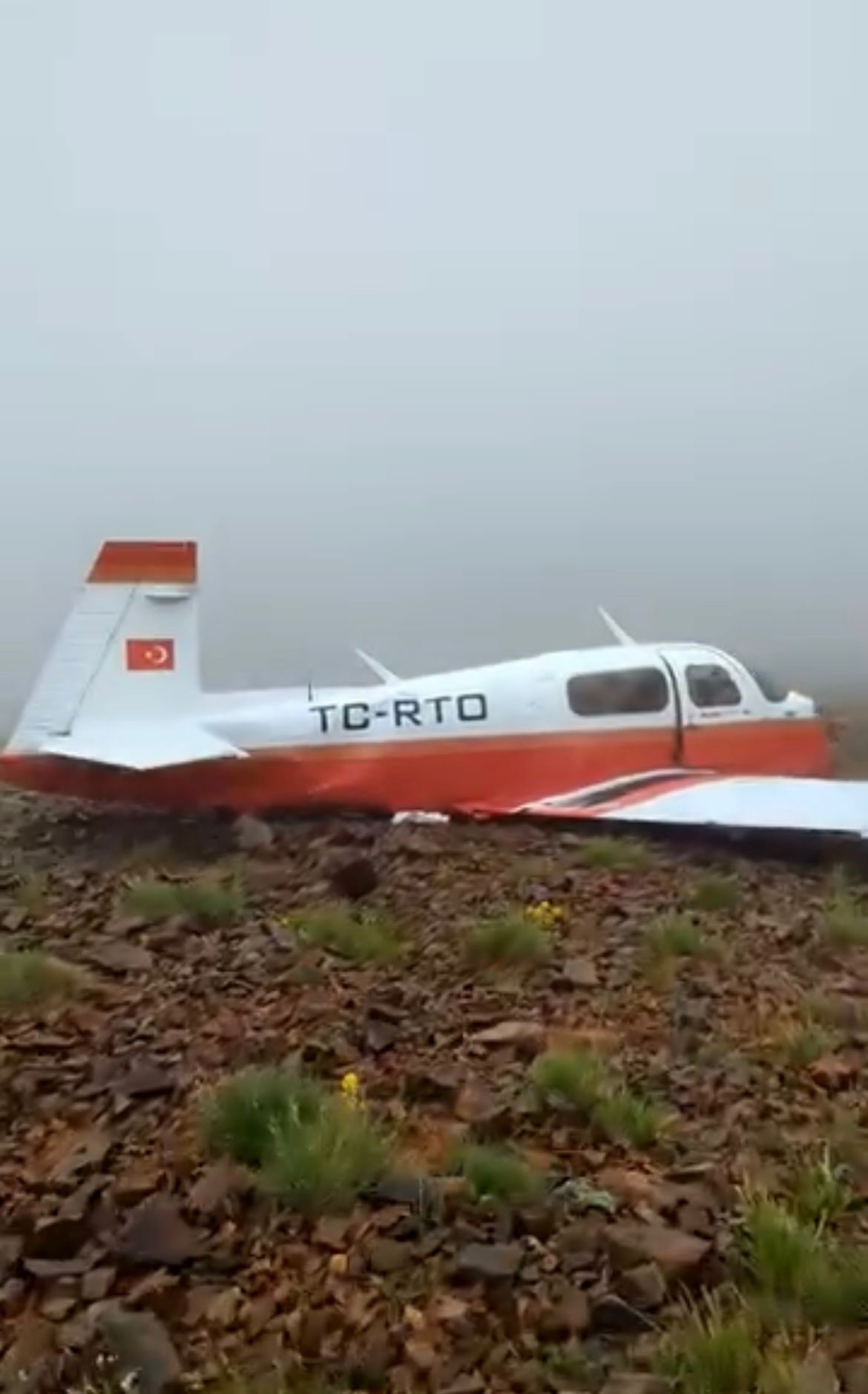 A W490233 01