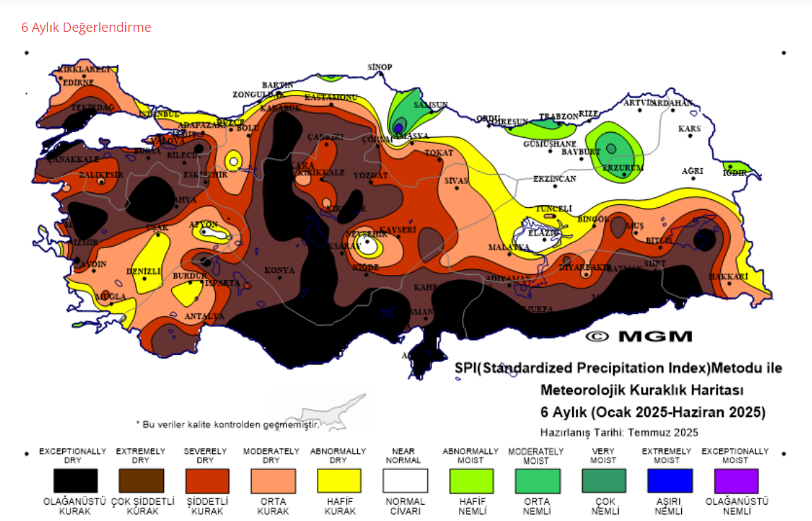Ekran Görüntüsü 2025 07 11 200113