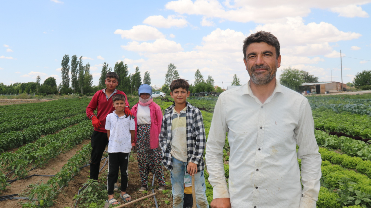 Eskişehir’de Tarlalar Işçilerin Alın Teriyle Yeşeriyor