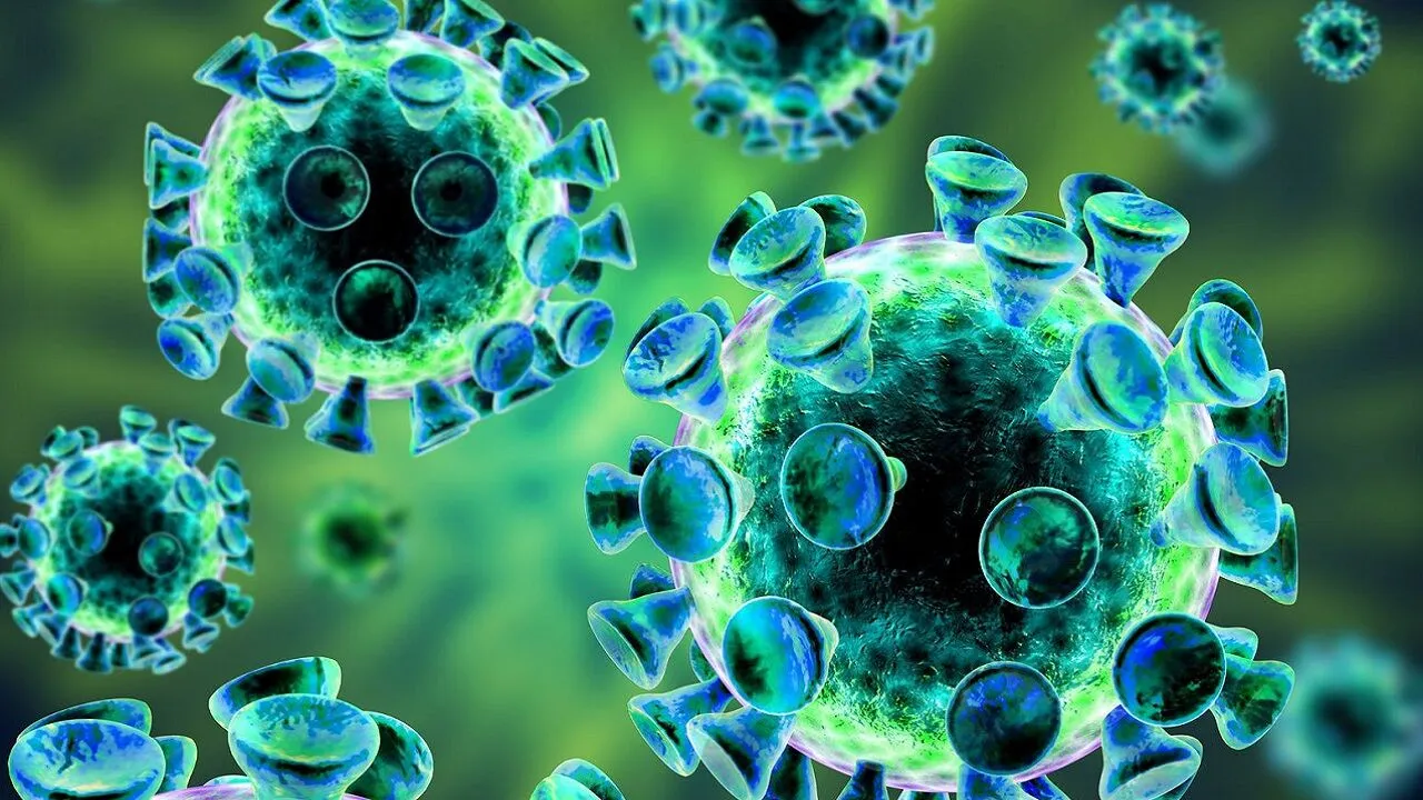 Virus 7-2