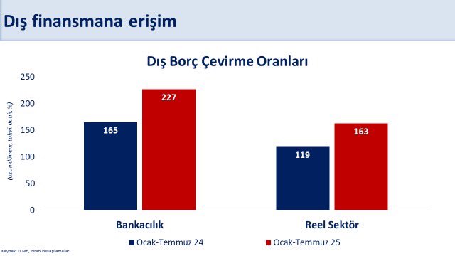 Dış Finansmana Erişim