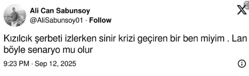 Ekran Görüntüsü 2025 09 13 171123