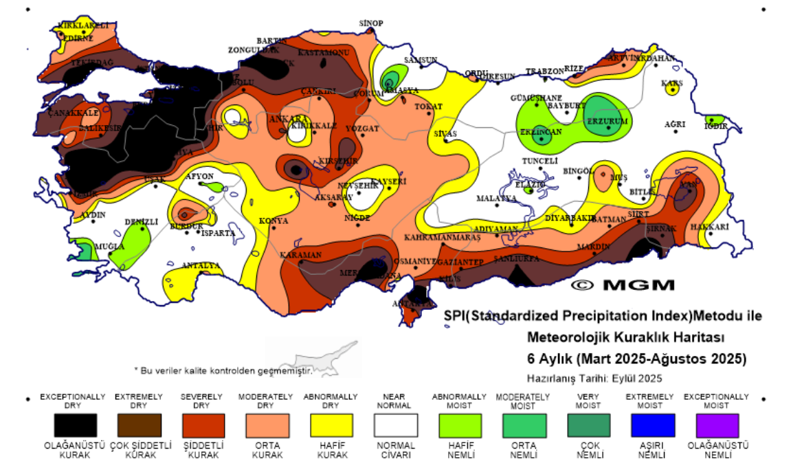 Ekran Görüntüsü 2025 09 13 225718