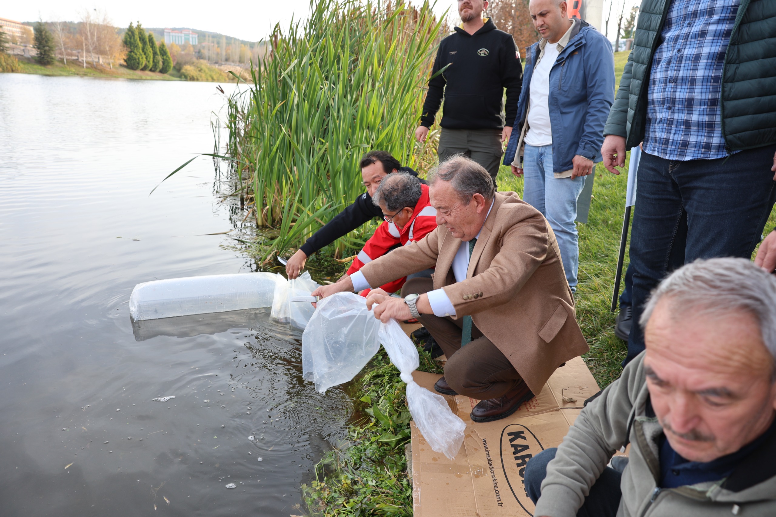 5 Bi̇n Aynali Sazan Doğaya Salindi (6)