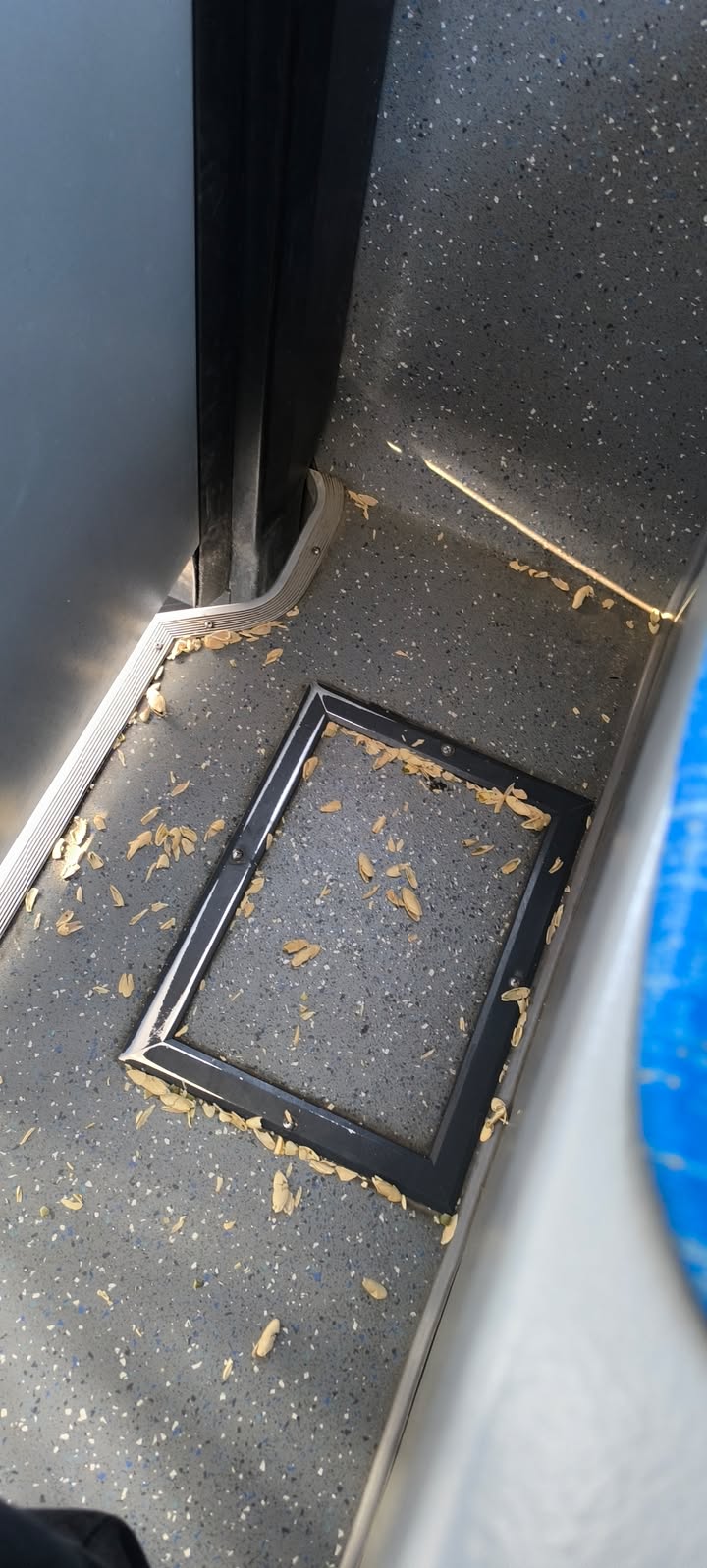 575180130 1125549666415118 3014664514544322292 N (1)