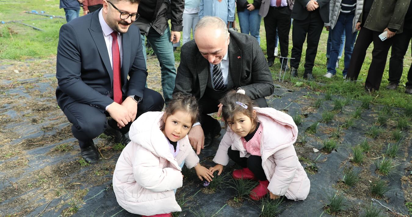 582480105 18185872936346205 547834751867579155 N