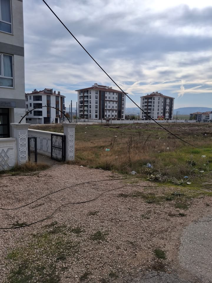 582677062 879963291865779 6752990917043253954 N