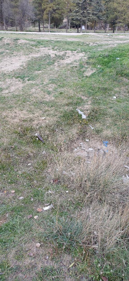 583720945 25511088758521112 5933671273230521947 N