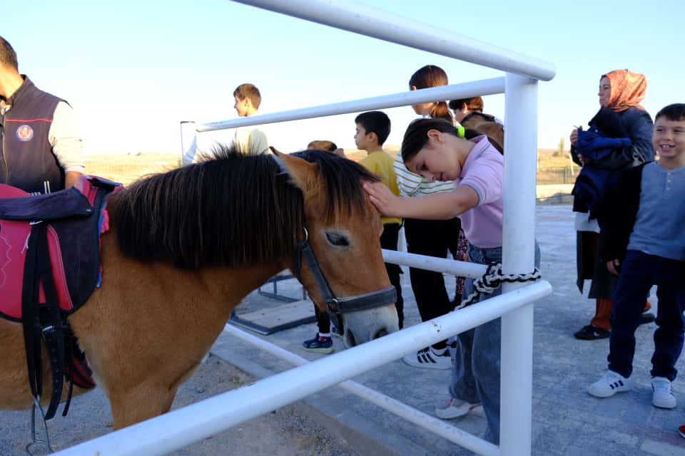 586337362 122270523002199730 111133479881378334 N