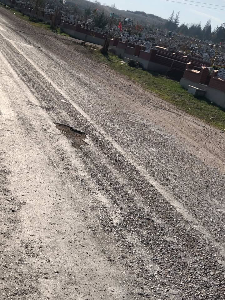 588496392 730488280083609 31859063562018845 N