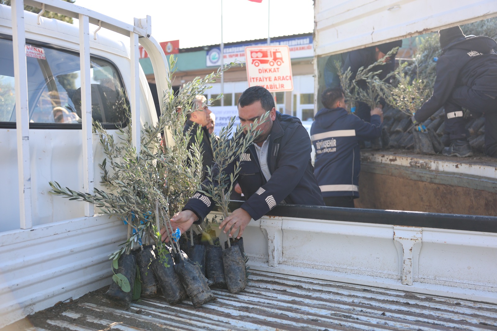 Büyükşehi̇r Beledi̇yesi̇nden Üreti̇ci̇lere Zeyti̇n Fi̇dani Desteği̇ (3)