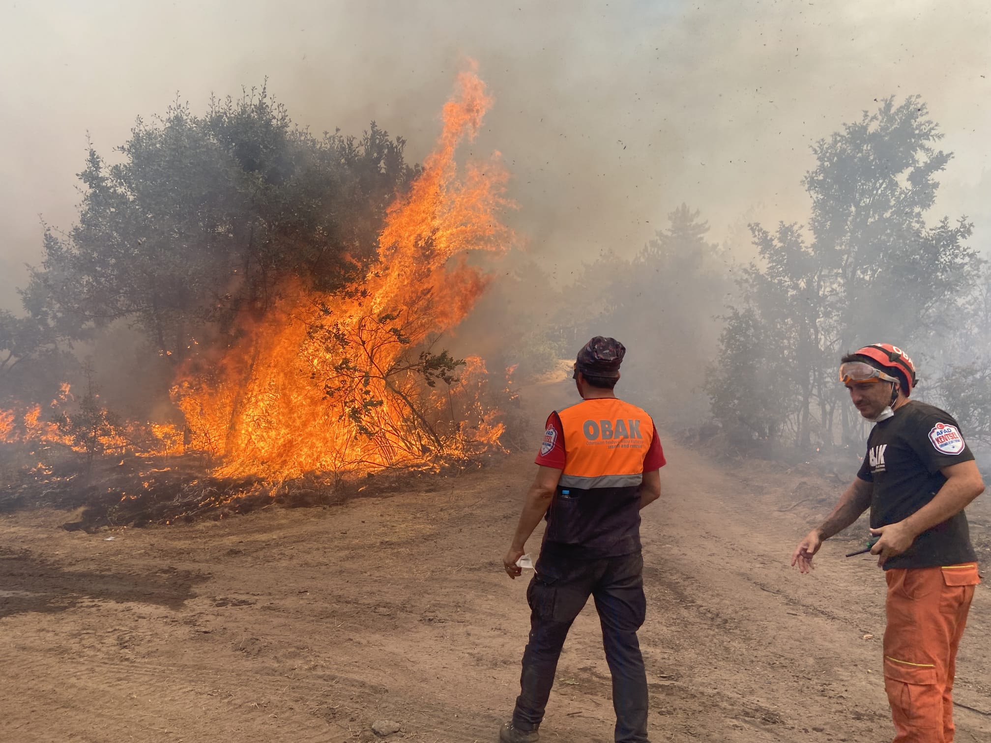 Obak Arşiv Fotoğrafı (13)