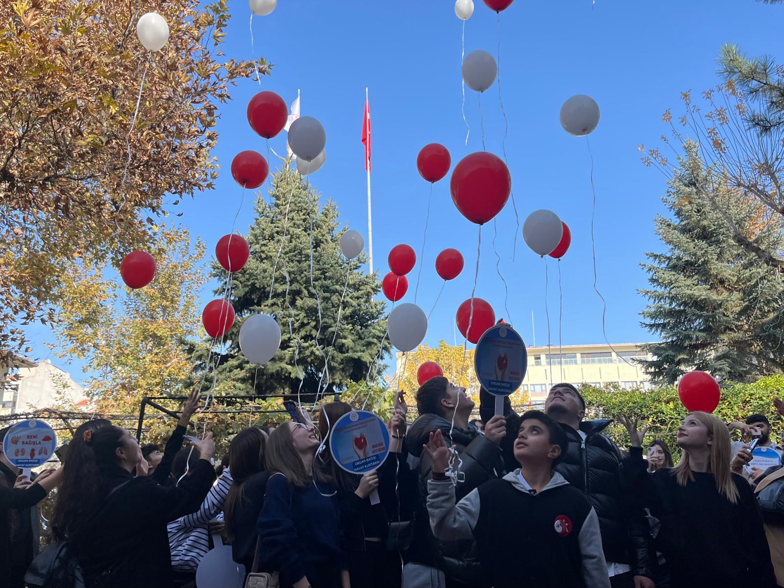 Whatsapp Image 2025 11 05 At 15.44.58 (7)