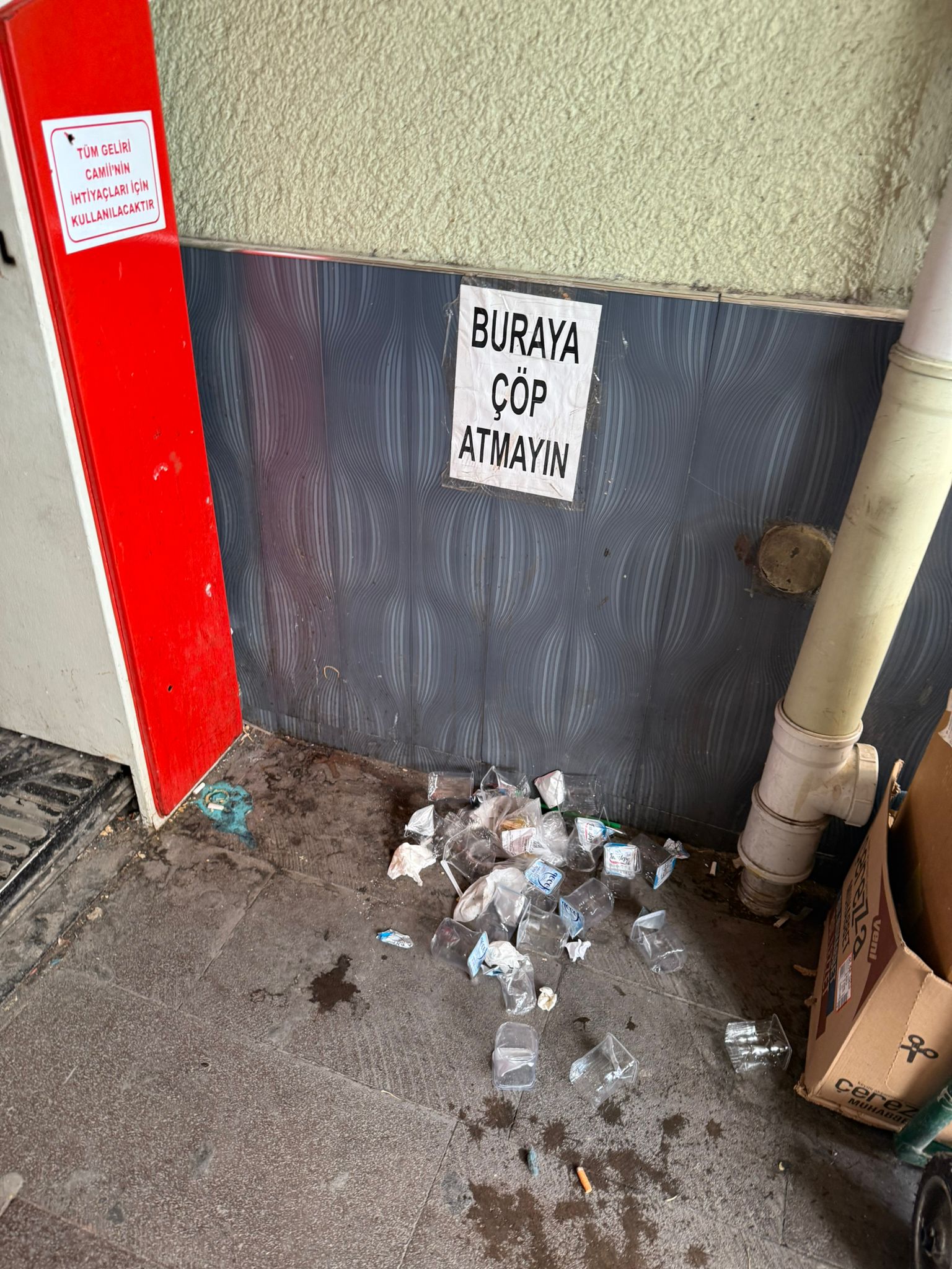 Whatsapp Image 2025 11 10 At 12.20.55