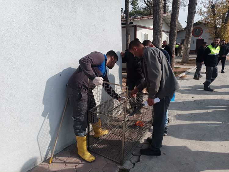 Whatsapp Image 2025 11 14 At 13.