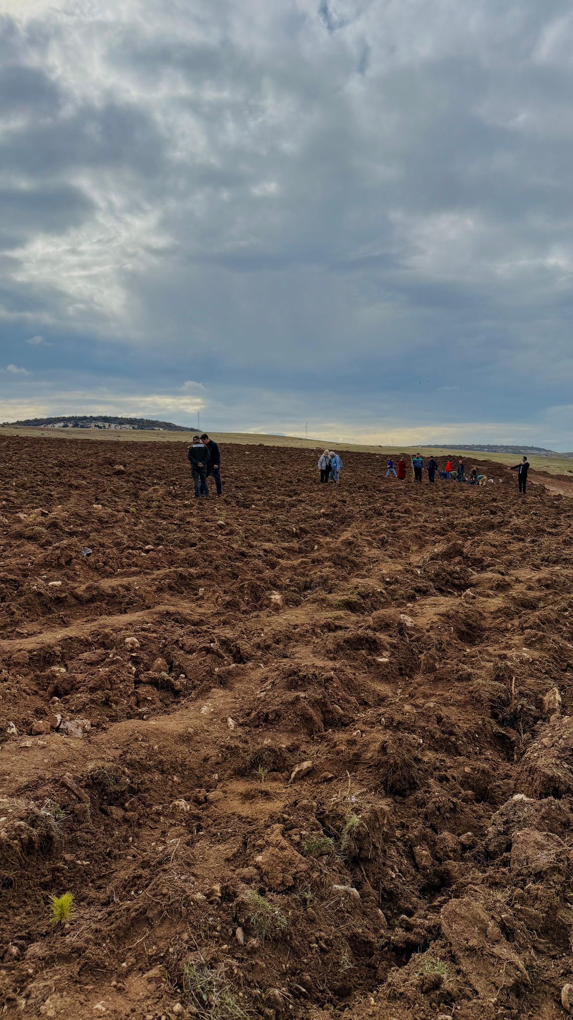 Whatsapp Image 2025 11 14 At 14.21.22