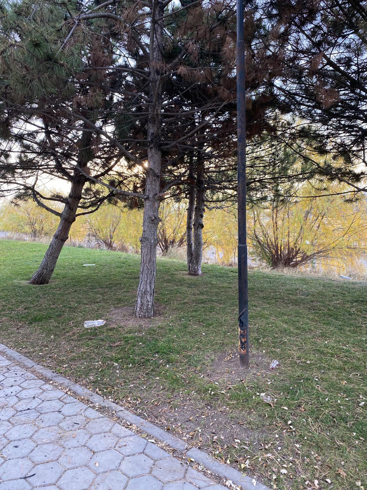 Whatsapp Image 2025 11 22 At 10.22.35 (1)