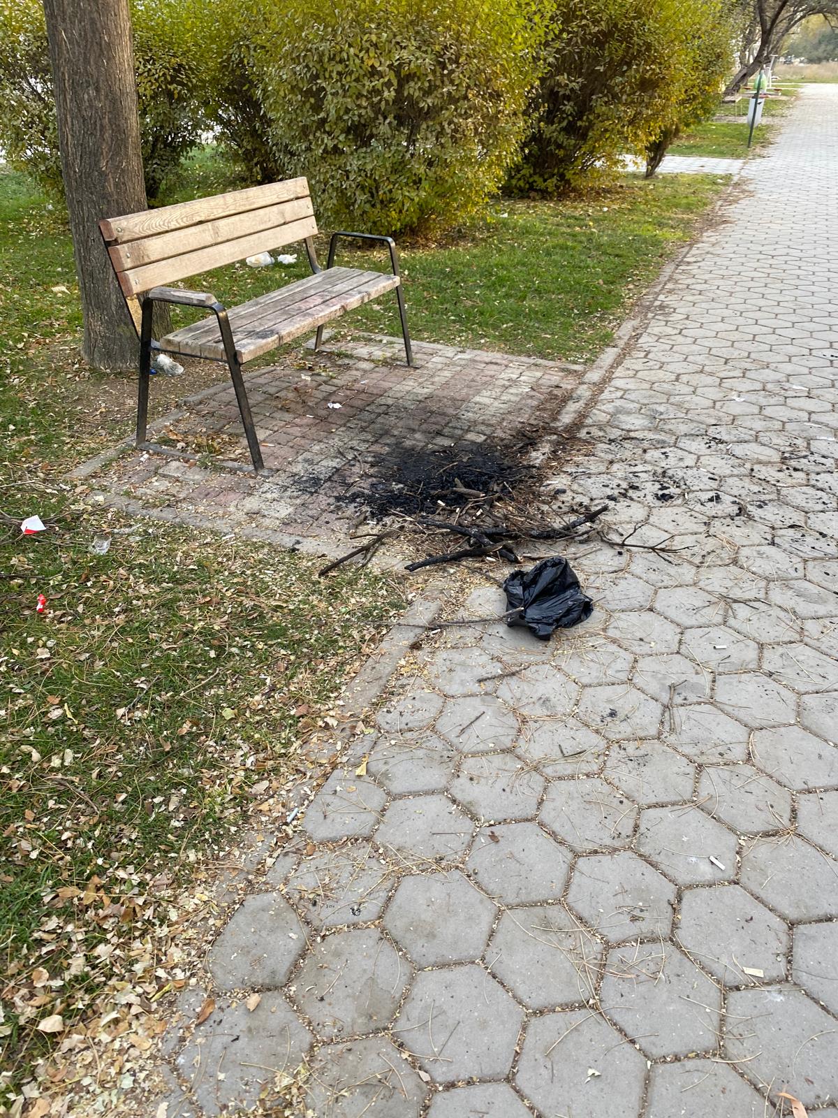 Whatsapp Image 2025 11 22 At 10.22.35