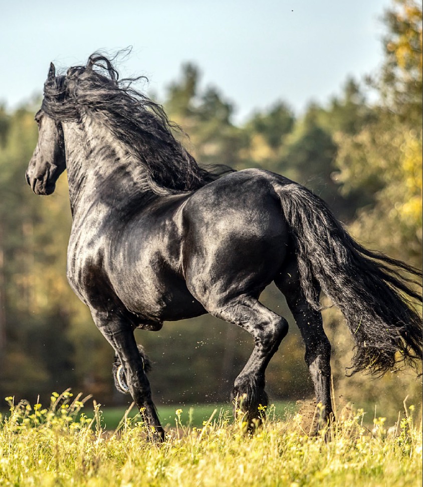 Whatsapp Image 2025 11 30 At 12.14.53 (1)