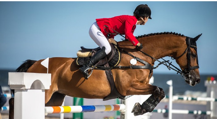 Whatsapp Image 2025 11 30 At 12.14.54