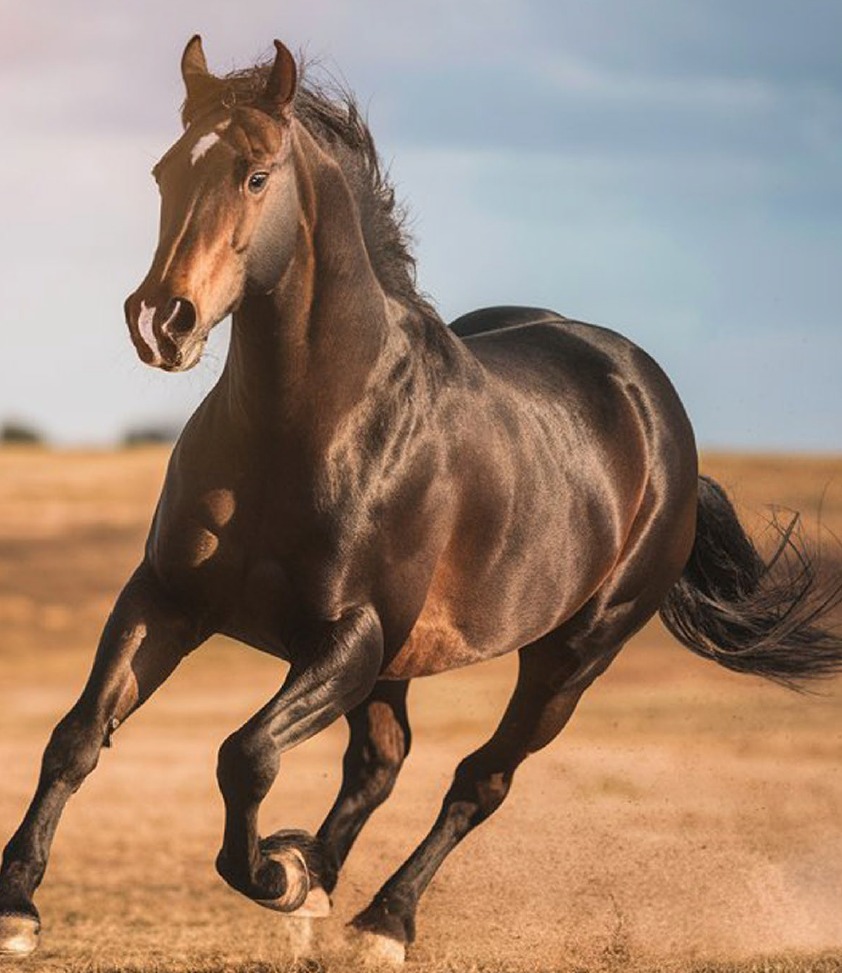 Whatsapp Image 2025 11 30 At 12.14.55 (1)