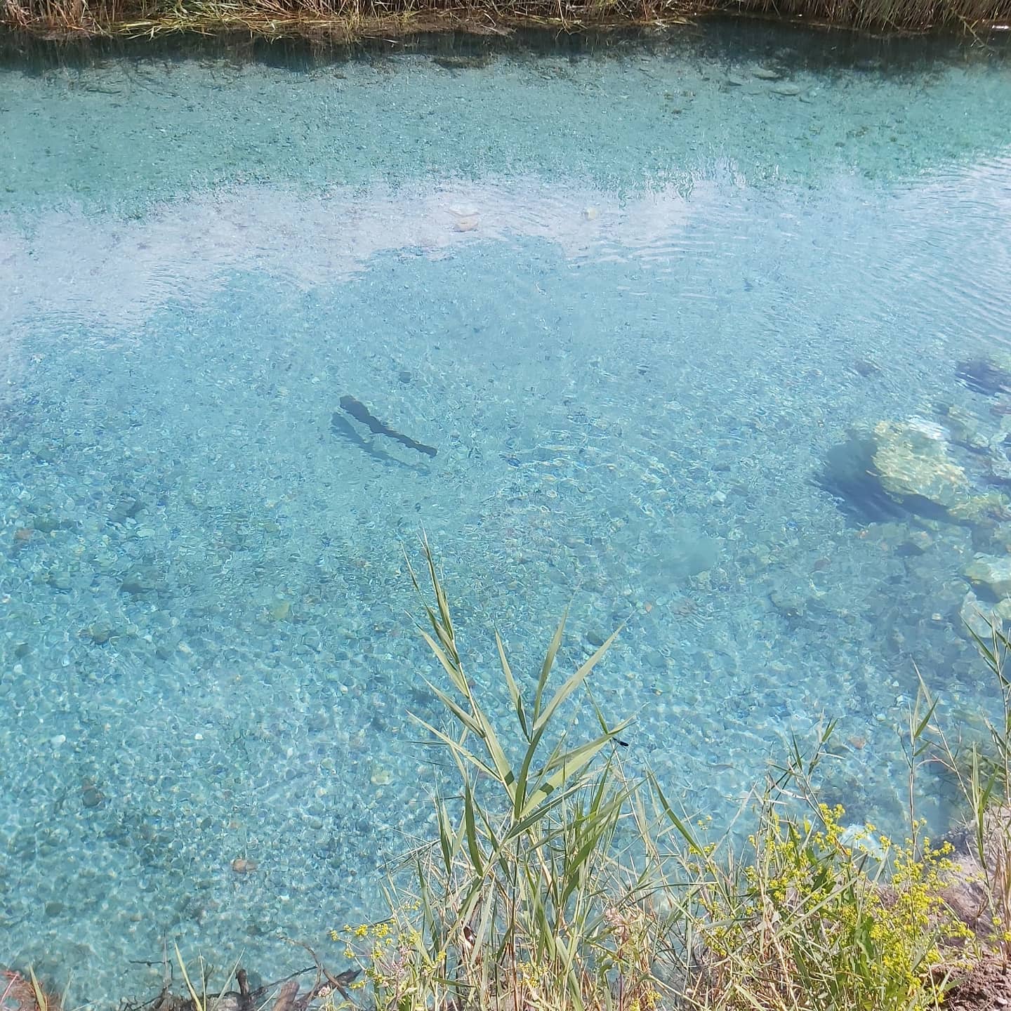 468567701 8469801439814669 1007612955686087659 N