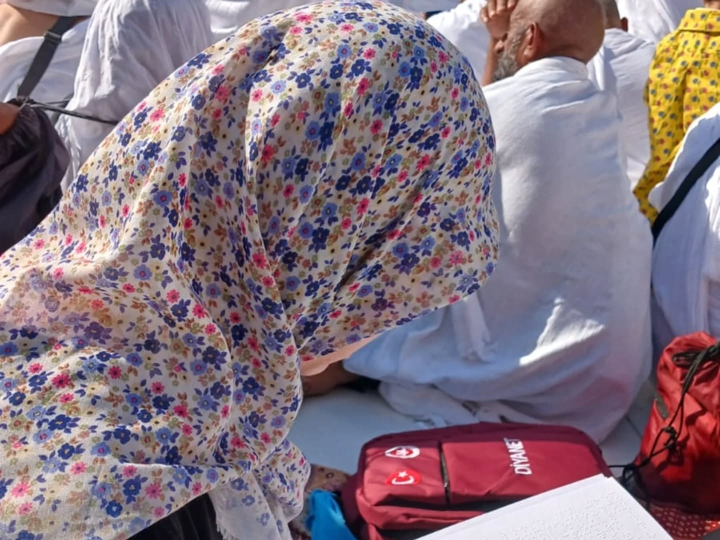 588447861 18113482954600249 884323624221166348 N