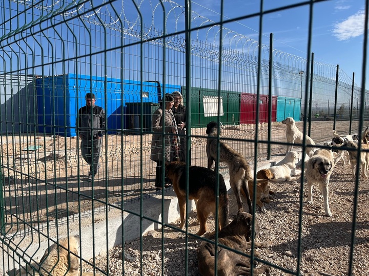 589646185 18348112486201905 7546