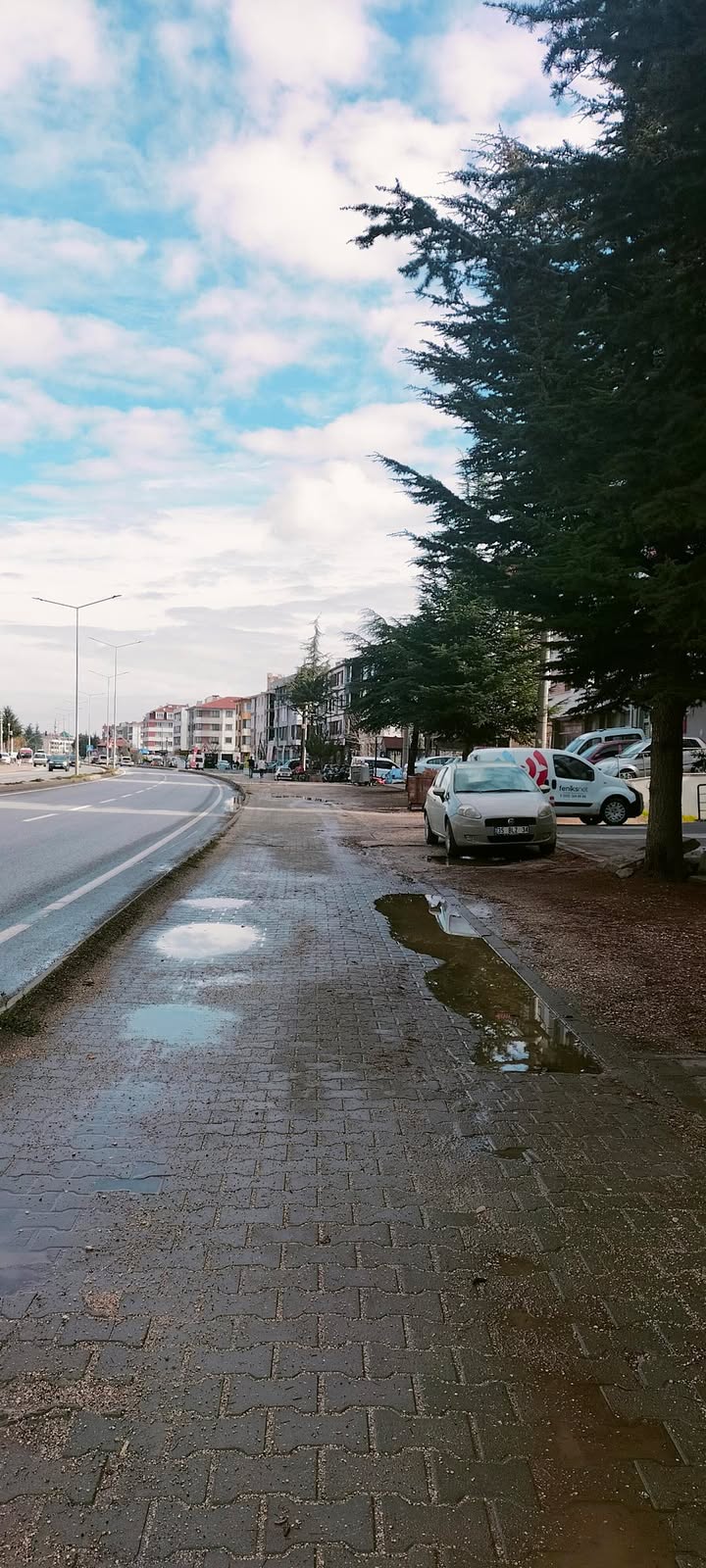 590232954 2781755248832345 597869529596471140 N