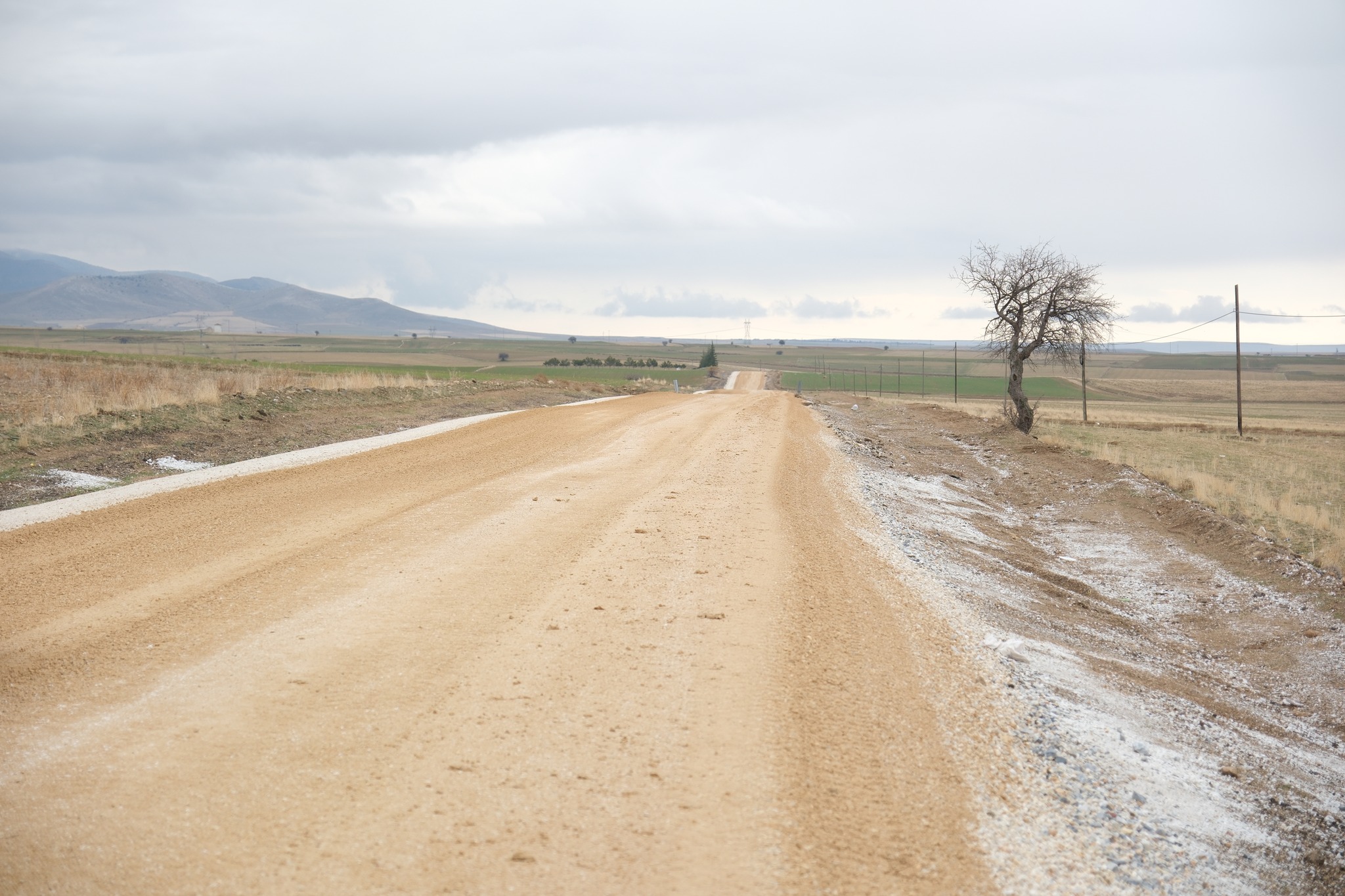 591940287 1328553112646946 8407806195945798532 N